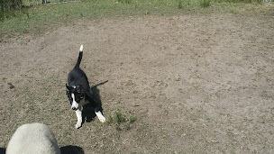 Photo n°2 de Des Pres Magres à Vendays-Montalivet (Centre de loisirs)