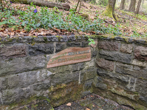 Irrbachquelle Ober-Ostern - Thumbnail