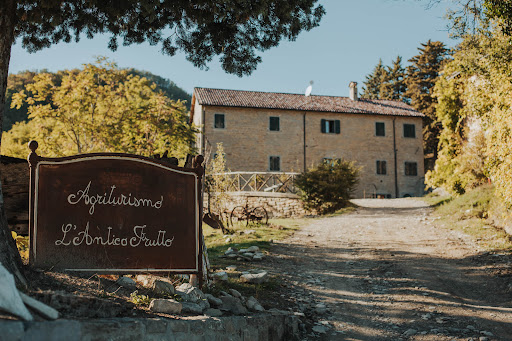 Old Fruit Farm - Visual