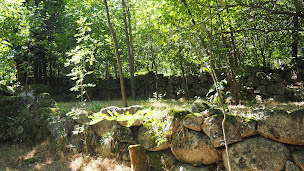 Photo n°19 de Les terrasses de Gourdouse à Vialas (Chalet)