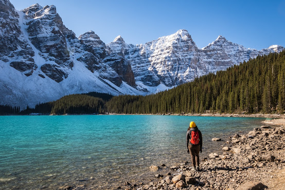 Root Adventures by null