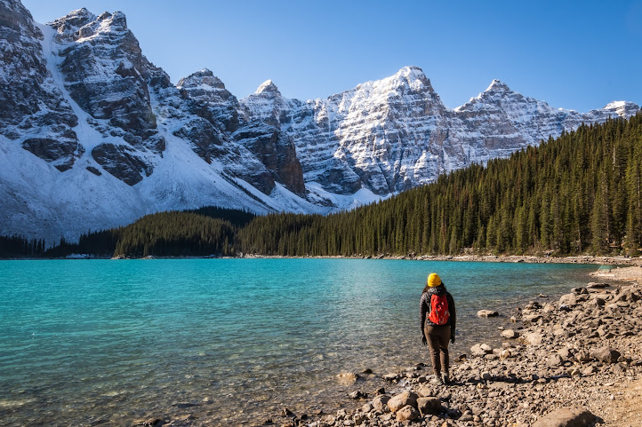 Root Adventures by null