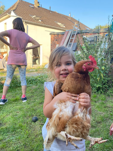 PM Immobilien Mario Platt