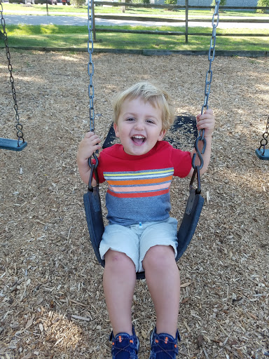Whetstone Park - Visual