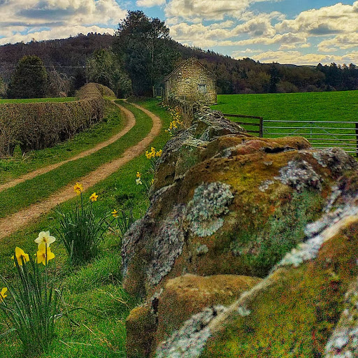 Sheepwash - Visual