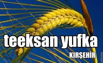 Teeksan Yufka