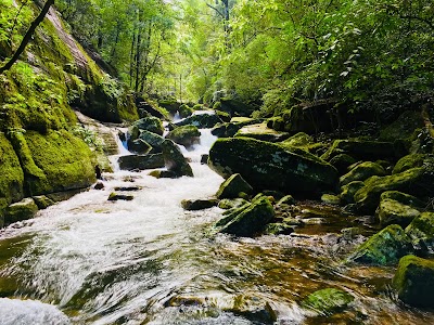 Photos of knuckles Duwili alla Camping site