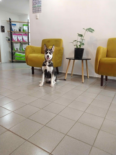 Prevet - Casa Veterinaria - Thumbnail