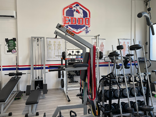 Asd Slugger Verona