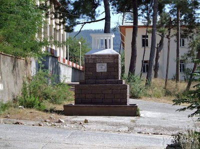 Photos of D&uuml;zi&ccedil;i Science High School