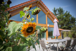 Photo n°7 de jacqueline sechet 