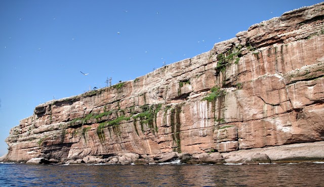 Parc national de l'Île-Bonaventure-et-du-Rocher-Percé