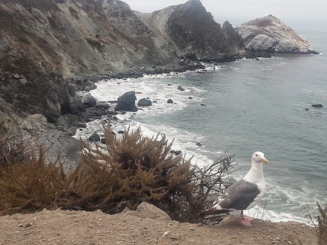 Limekiln State Park