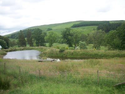 Auchencheyne Ltd photo 3