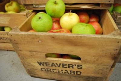 Photos of Weaver's Orchard Inc