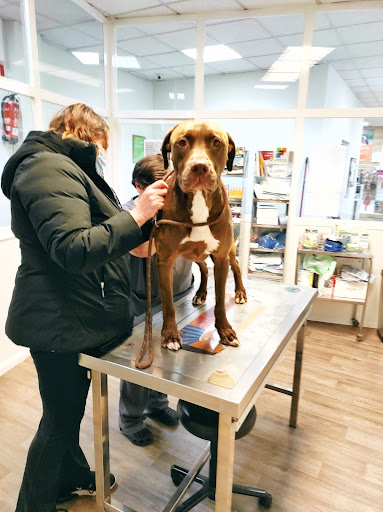 Vetland - Especialidades Veterinarias