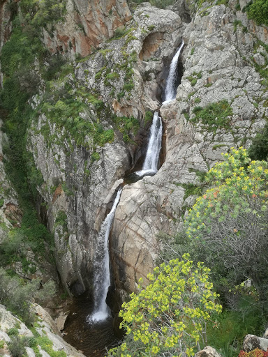 Sa Spendula - Visual