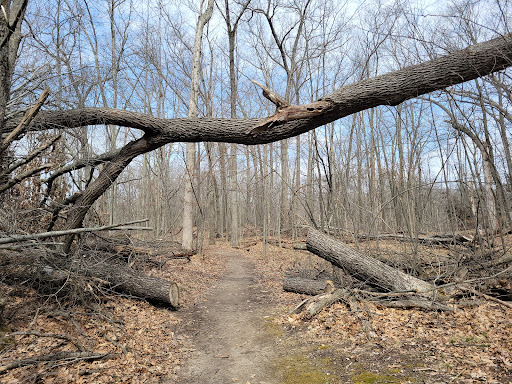 Holly Recreation Area - Thumbnail