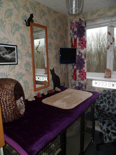 Cathaven Lodge - Thumbnail