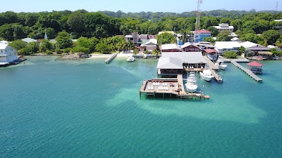 Photos of Bay Islands College of Diving