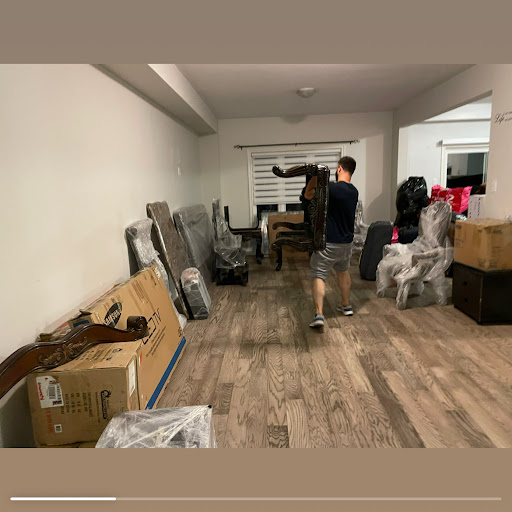 Zagros Movers - Visual