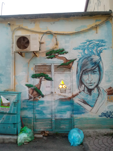 Murales di Via Torrazzo