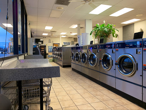 Washboard Laundry - Visual