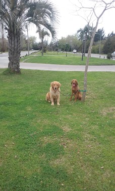 Barrio Cerrado Los Ombúes, Author: Paseador de perros Tigre