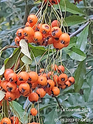 Photo n°13 de Camping La Courtine à Châtel-de-Neuvre (Espace pour la pratique du canoë)