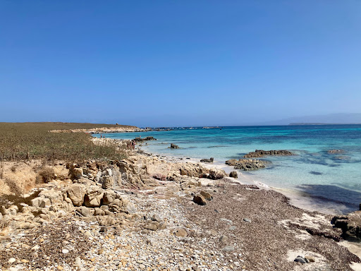 Isola di Mal di Ventre - Escursioni - Noleggio gommoni - SeaNext & Summer Team - Thumbnail
