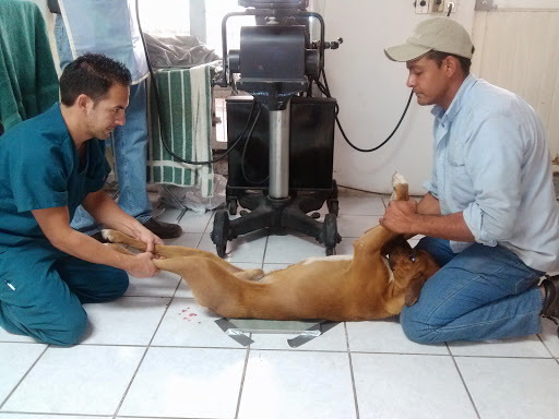 Clínica Veterinaria Animal Care
