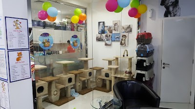 Photos of Pet Sky