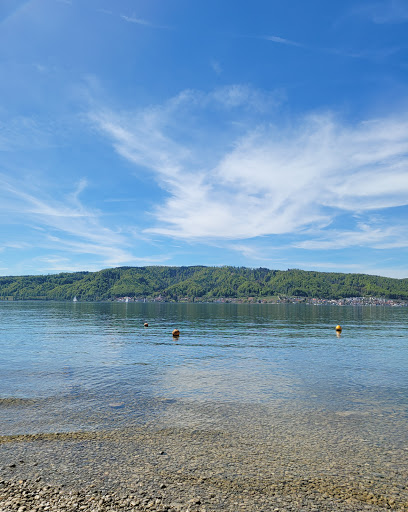 Welterbe-Pfahlbau-Spielplatz Bodman-Ludwigshafen am Bodensee - Thumbnail