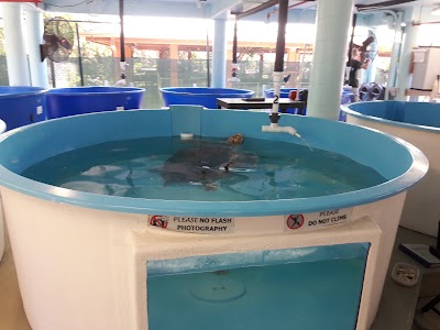 aquarium