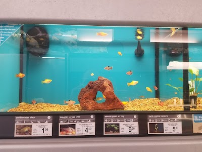 Petco