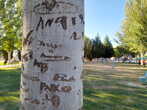 estanque Park - Visual