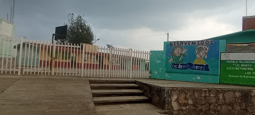 TELEBACHILLERATO COMUNITARIO NUM. 24 LOS PINOS, ALMOLOYA DE ALQUISIRAS