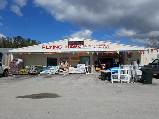 Flying Hawk - Visual