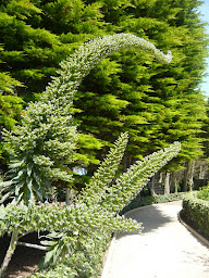Photo n°9 de Vent du Large - Ferienhaus direkt am Meer - Location de vacances Bretagne à Plouguerneau (Agence de location de maisons de vacances)