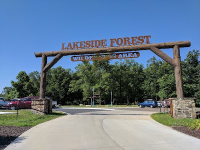 Lakeside Forest Wilderness Area