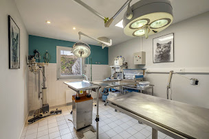 Photo n°2 de Clinique Vétérinaire Argos La Rochelle la Genette à La Rochelle (Vétérinaire)