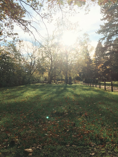 Friedhof Waltershausen - Visual