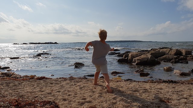 Torekov Hamn