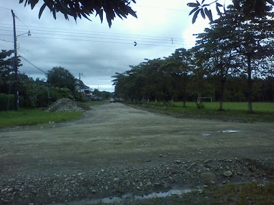 school