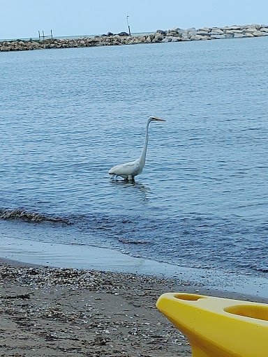 Sunset Shore Campground - Thumbnail
