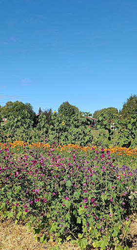 Ås trädgård - Thumbnail