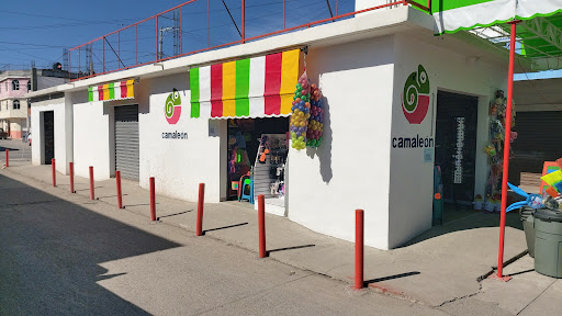 Camaleón Rioverde
