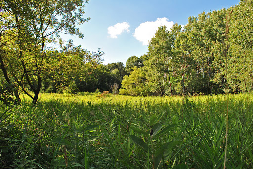 Vosse Coulee State Natural Area
