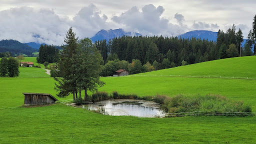 Schwaltenweiher Runde - Thumbnail