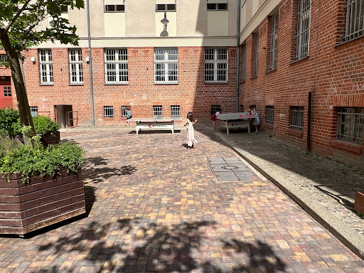 Platanus school - Visual